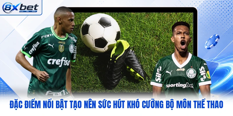 Đặc điểm nổi bật tạo nên sức hút khó cưỡng bộ môn thể thao Đặc điểm nổi bật tạo nên sức hút khó cưỡng bộ môn thể thao